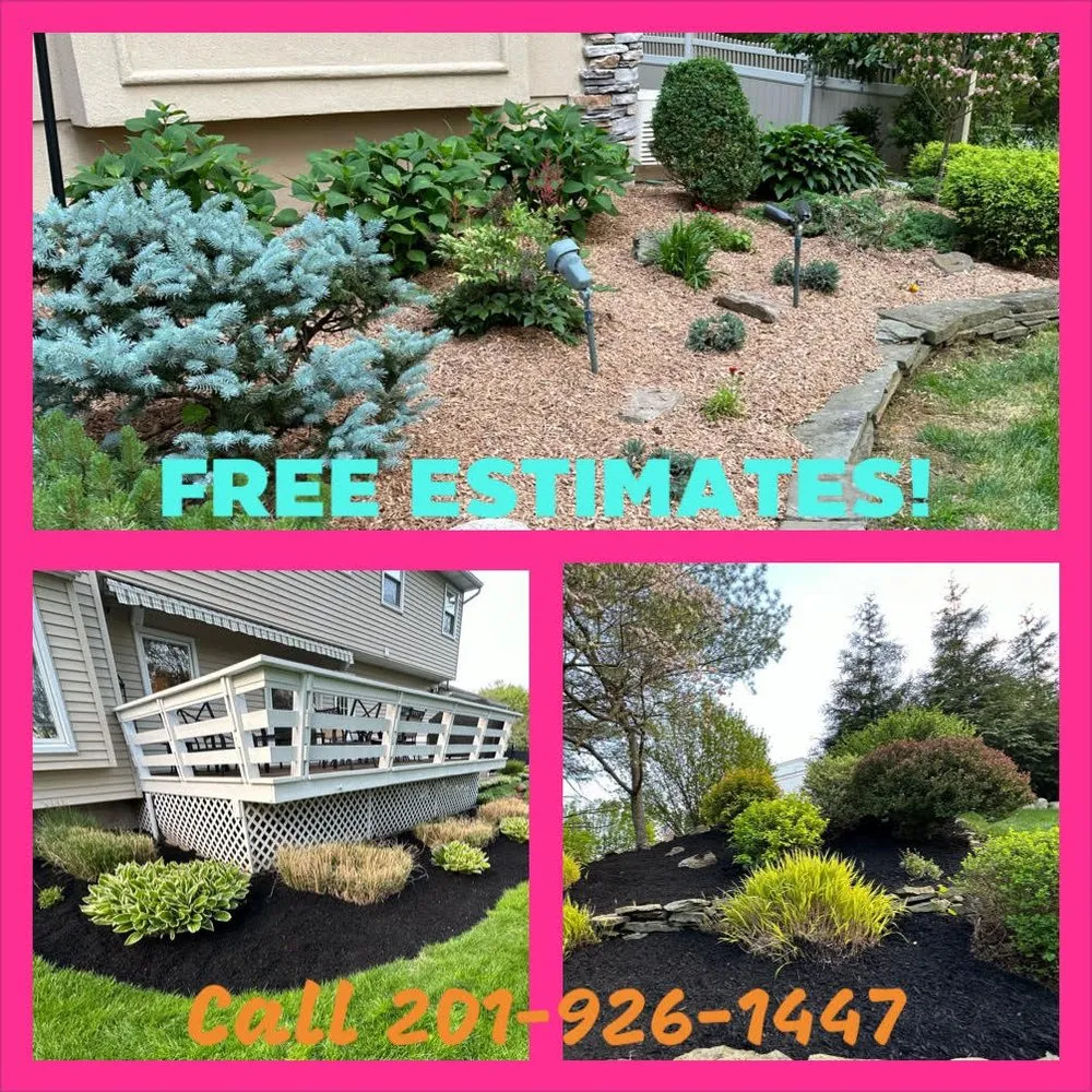 Affordable yard cleanup service in Pequannock Township, NJ by RFW Services