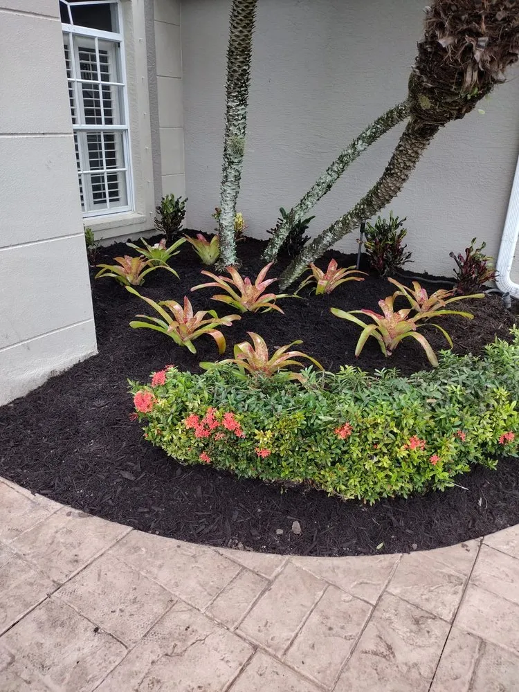 Professional outdoor landscaping experts serving Bonita Springs, FL - RG Gonzalez Landscaping