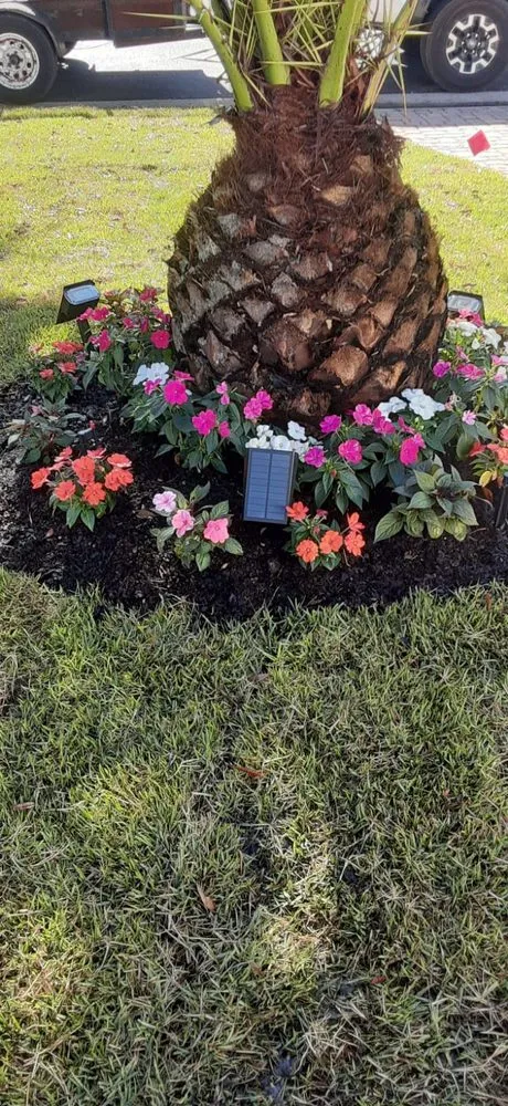 Trusted garden landscaping experts serving Bonita Springs, FL - RG Gonzalez Landscaping