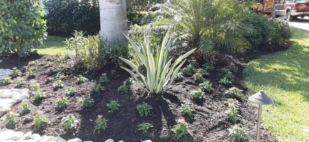 Reliable outdoor landscaping in Bonita Springs, FL by RG Gonzalez Landscaping