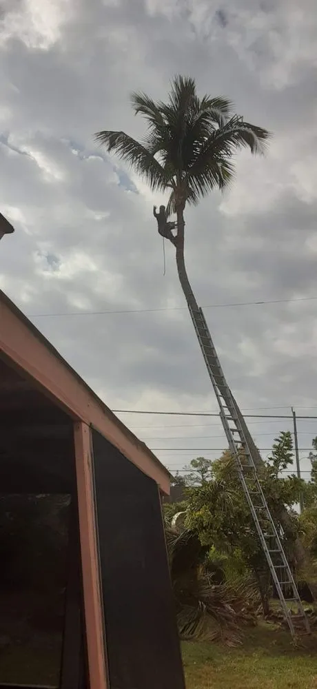 Affordable yard cleanup service in Bonita Springs, FL - RG Gonzalez Landscaping