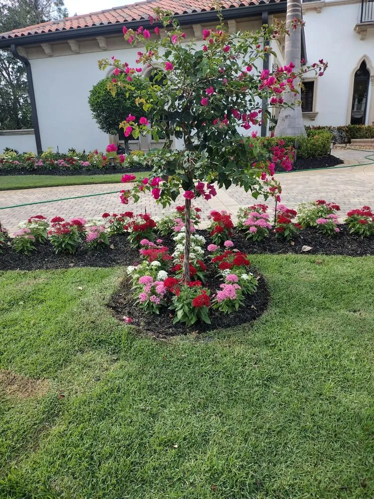 Expert outdoor landscaping for year-round maintenance across Bonita Springs, FL - RG Gonzalez Landscaping