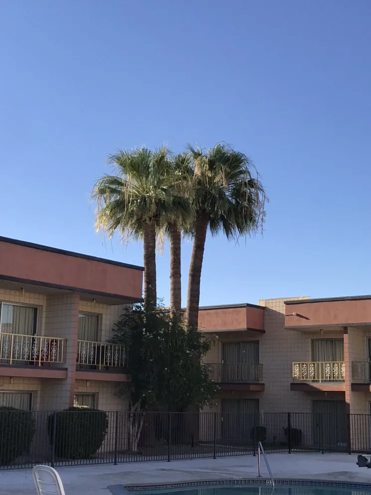 Professional yard cleanup service experts serving Coachella, CA - RG Landscape & More