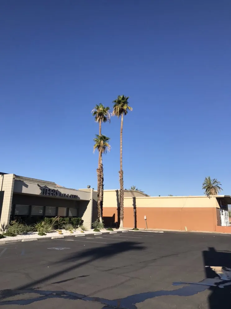 Trusted outdoor landscaping experts serving Coachella, CA - RG Landscape & More