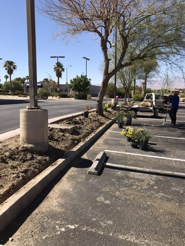 Professional landscape design for beautiful yards across Coachella, CA - RG Landscape & More