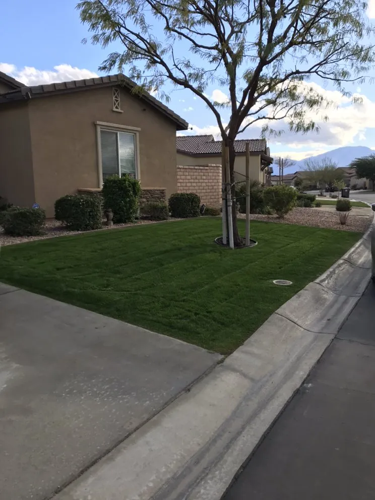 Trusted outdoor landscaping in Coachella, CA - RG Landscape & More