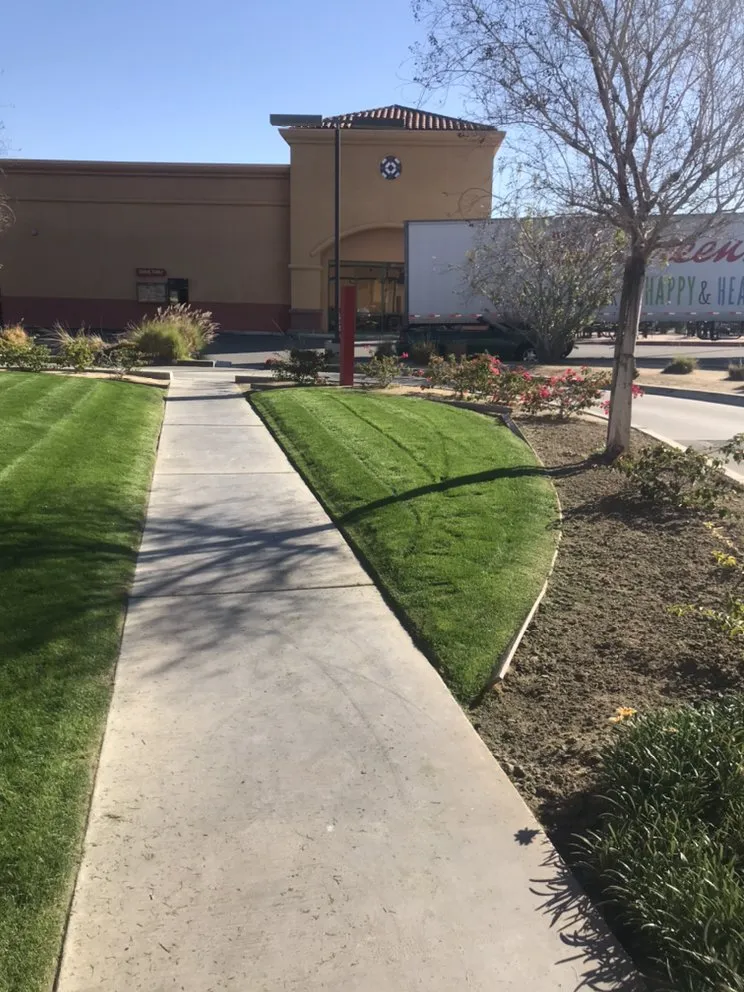 Reliable landscaping services experts serving Coachella, CA - RG Landscape & More