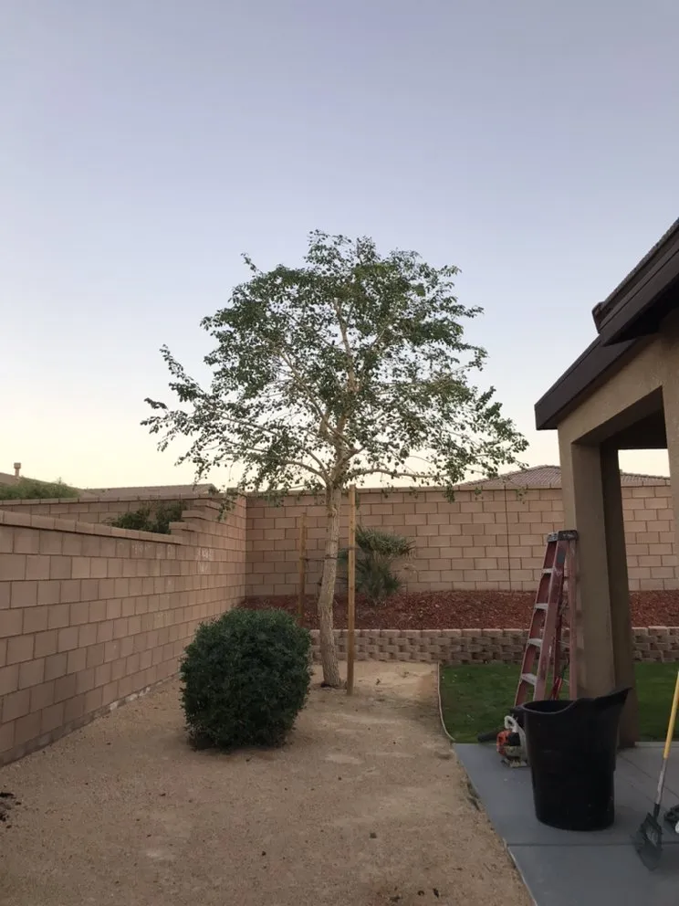Trusted residential landscaping in Coachella, CA by RG Landscape & More