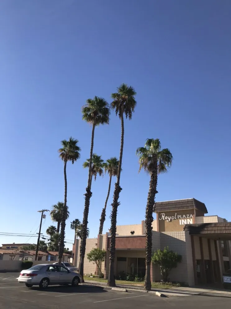 Top-rated yard cleanup service experts serving Coachella, CA - RG Landscape & More