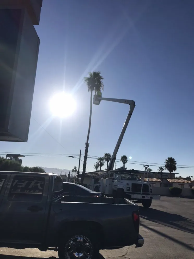 Custom landscaping services in Coachella, CA - RG Landscape & More