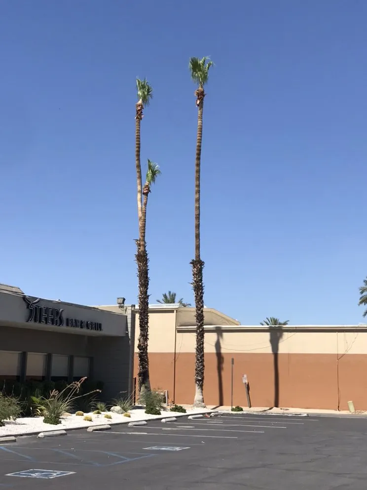 Top-rated landscaping services in Coachella, CA - RG Landscape & More