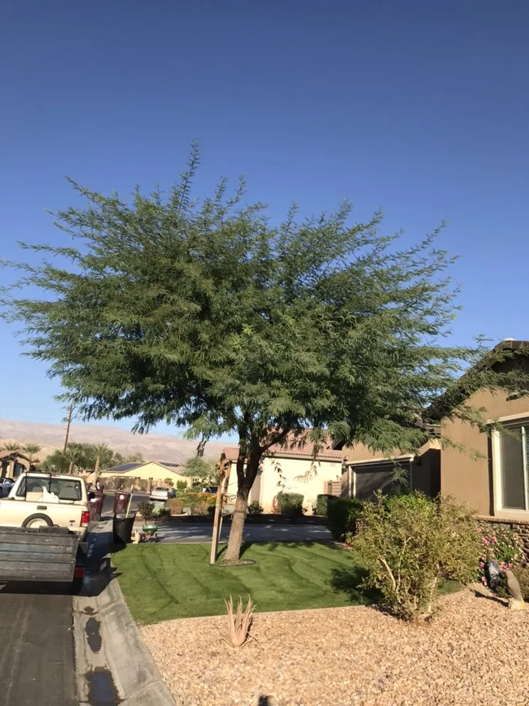 Local landscaping services experts serving Coachella, CA - RG Landscape & More