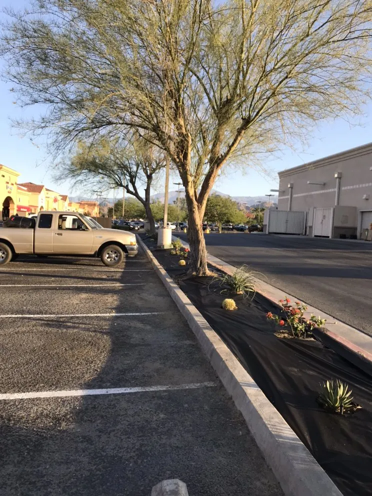 Expert garden landscaping in Coachella, CA by RG Landscape & More