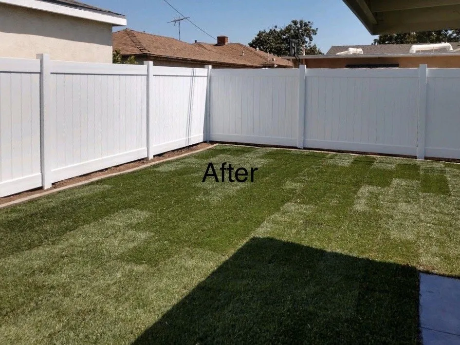 Affordable lawn care service for beautiful yards in El Monte, CA by RG Landscape