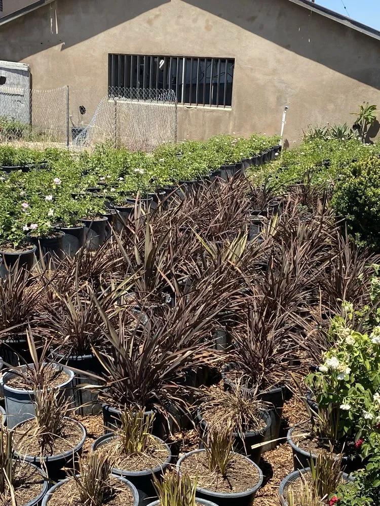 Expert outdoor landscaping in Rancho Cucamonga, CA by R.G Landscaping & Design