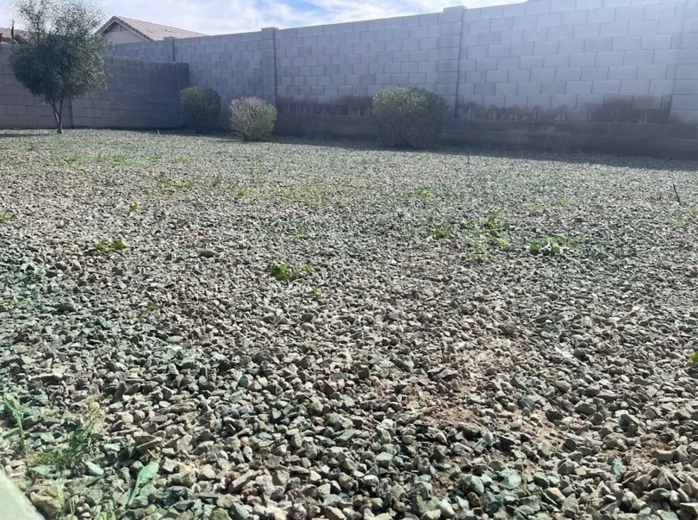 Local landscaping services experts serving Maricopa, AZ - R.G Landscaping