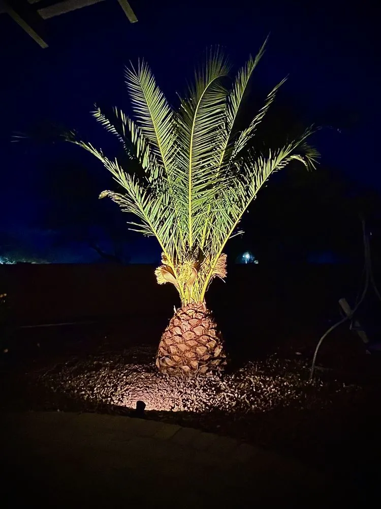 Local garden landscaping experts serving Maricopa, AZ - R.G Landscaping