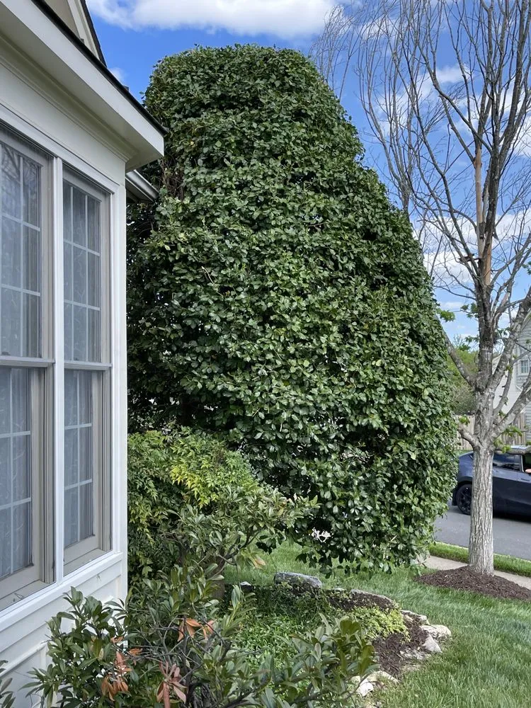 Expert landscaping services in Woodbridge, VA by RG Landscaping