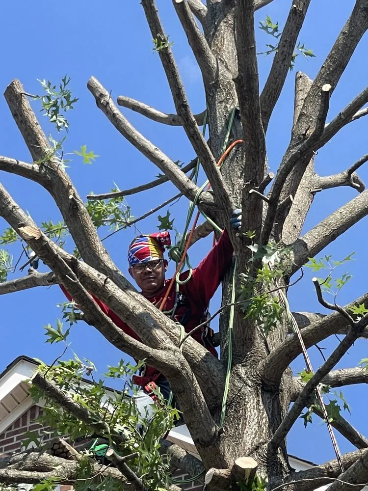 Reliable landscaping services in Woodbridge, VA - RG Landscaping