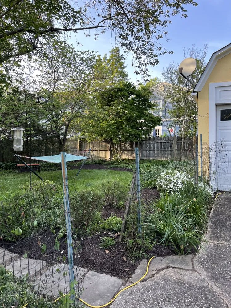 Top-rated yard cleanup service experts serving Woodbridge, VA - RG Landscaping