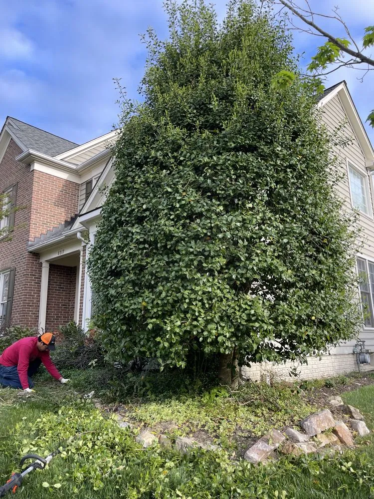 Professional yard maintenance experts serving Woodbridge, VA - RG Landscaping