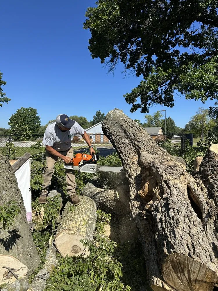 Professional garden landscaping in Kansas City, KS - R&G Lawn & Landscape