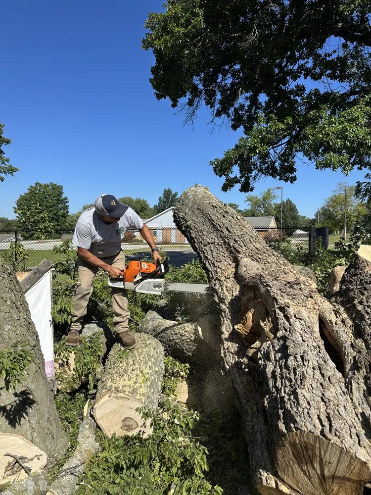 Trusted landscaping services in Kansas City, KS by R&G Lawn & Landscape