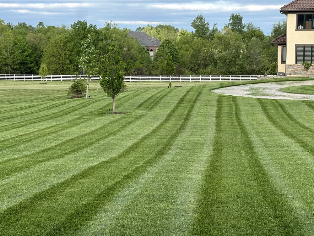 Custom yard cleanup service experts serving Kansas City, KS - R&G Lawn & Landscape