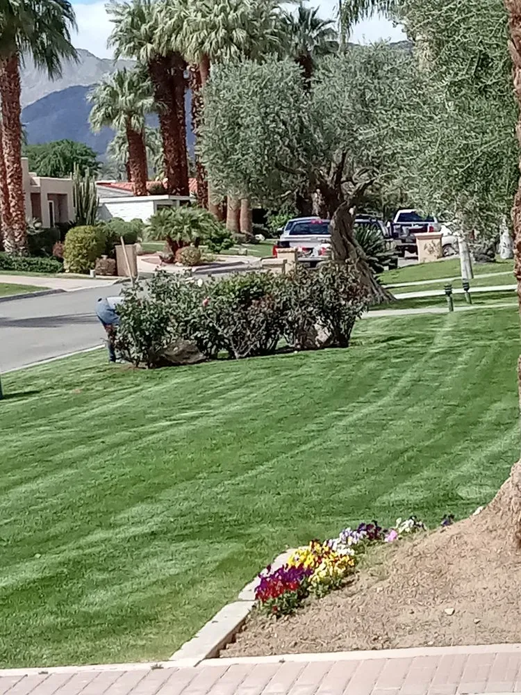 Local yard cleanup service experts serving Desert Hot Springs, CA - Rg Lawn Care