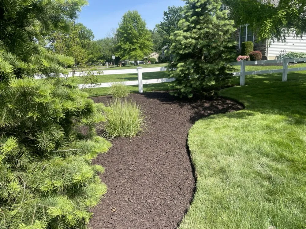 Professional landscaping services for beautiful yards in Painesville, OH by R&G Lawn Care