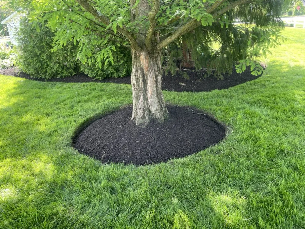 Trusted outdoor landscaping in Painesville, OH - R&G Lawn Care