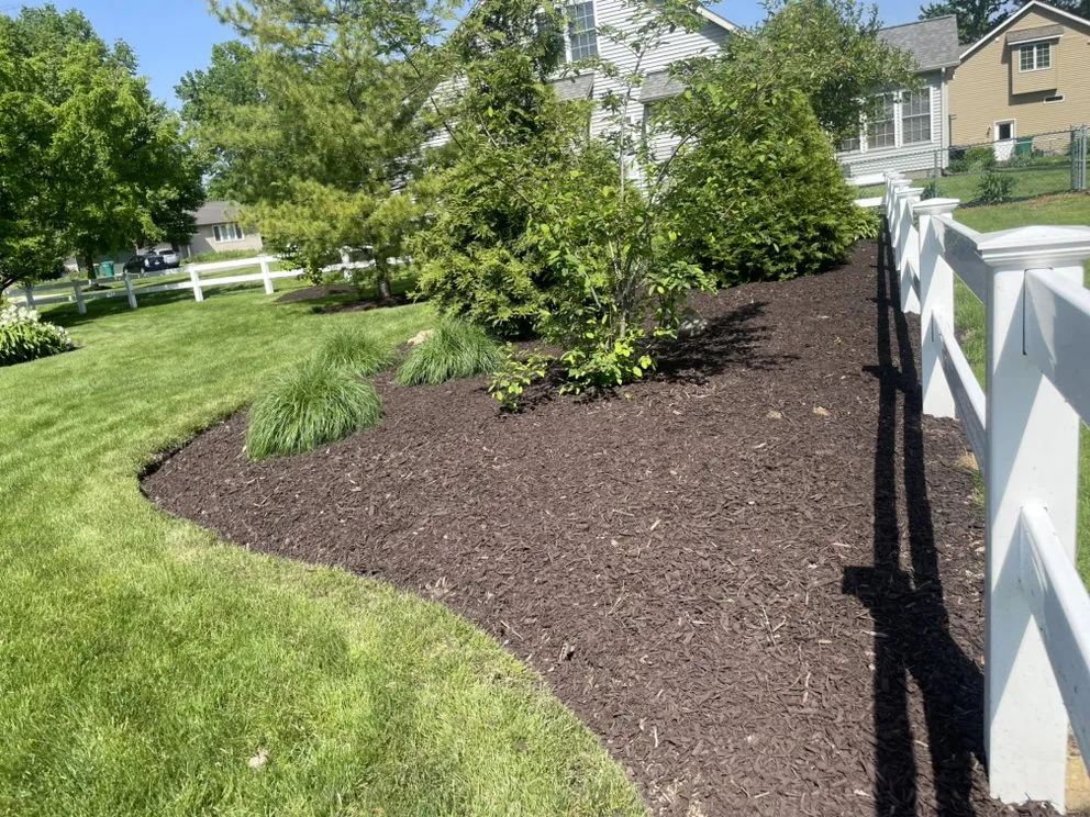 Top-rated yard cleanup service experts serving Painesville, OH - R&G Lawn Care