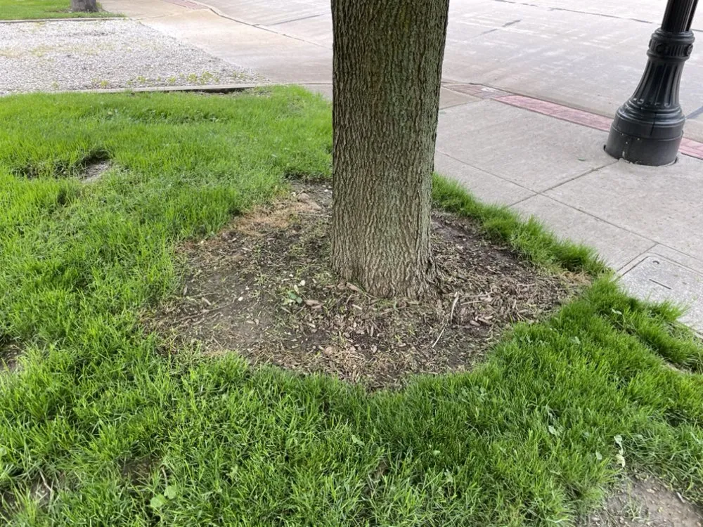 Top-rated yard cleanup service for outdoor upgrades across Painesville, OH - R&G Lawn Care