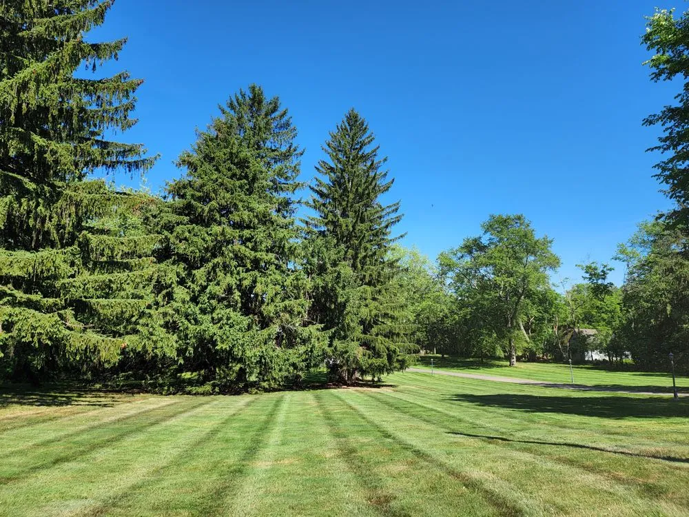 Professional landscape installation in Painesville, OH - R&G Lawn Care