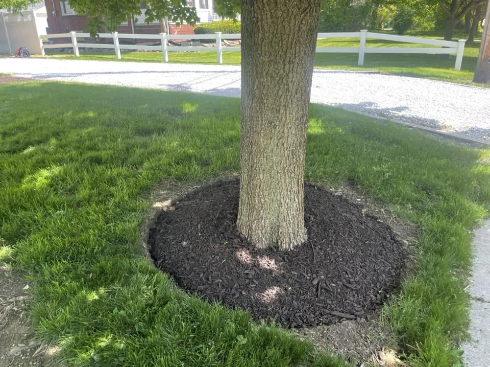 Local landscape installation for year-round maintenance across Painesville, OH - R&G Lawn Care