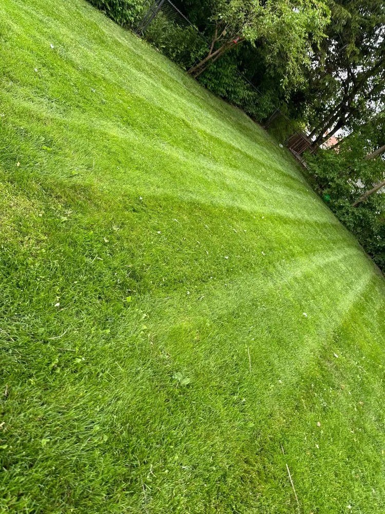 Local landscape installation experts serving Burbank, IL - R.G Lawncare