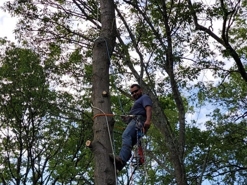 Expert outdoor landscaping in Nashville, TN by RG