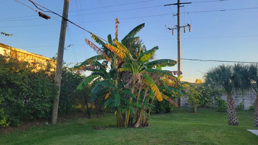 Affordable landscaping services experts serving Sarasota, FL - RG7 Lawn Service