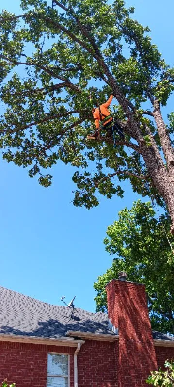 Professional lawn care service for year-round maintenance across Stillwater, OK - RGC Tree Lawn and Landscaping