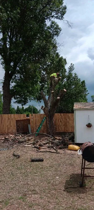 Reliable lawn mowing service for beautiful yards in Stillwater, OK by RGC Tree Lawn and Landscaping