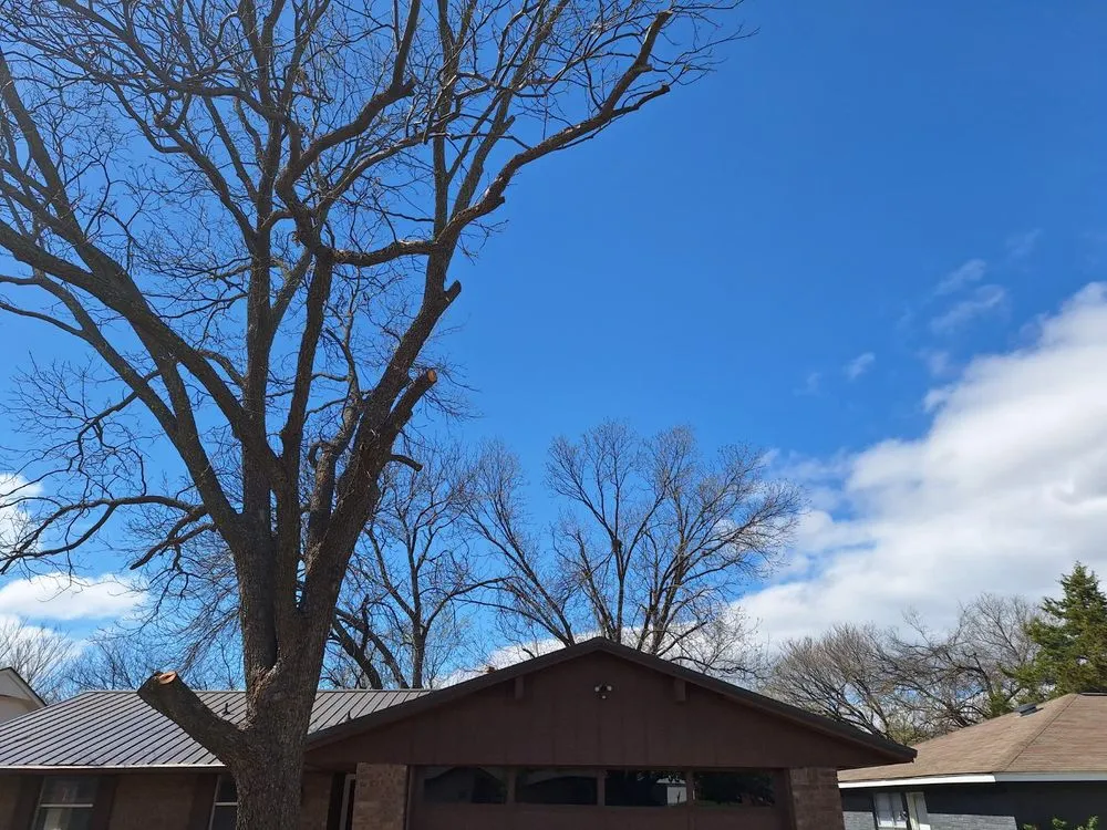 Affordable yard cleanup service in Stillwater, OK - RGC Tree Lawn and Landscaping