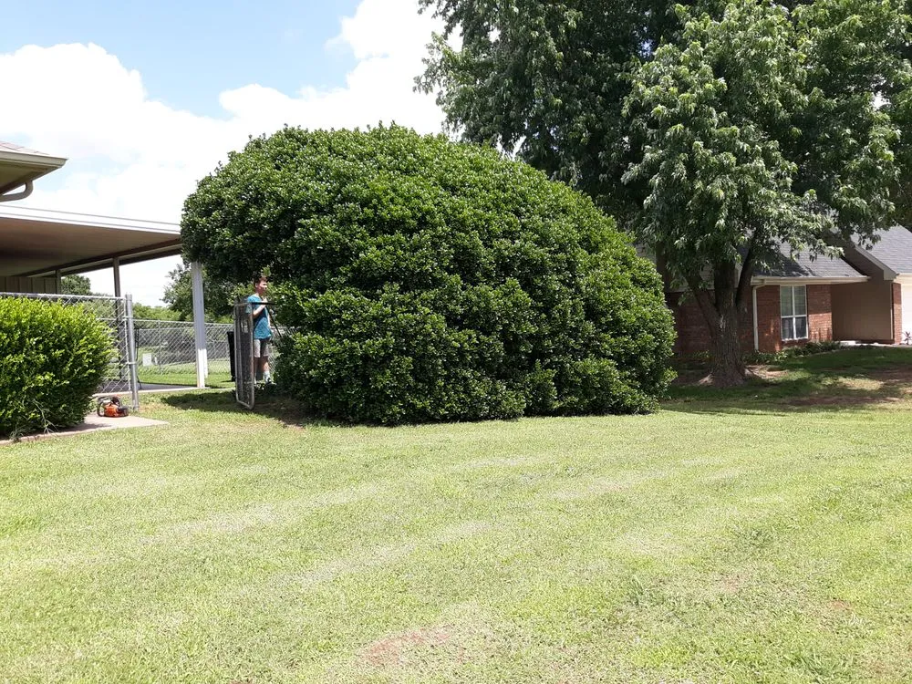 Top-rated residential landscaping for beautiful yards in Stillwater, OK by RGC Tree Lawn and Landscaping