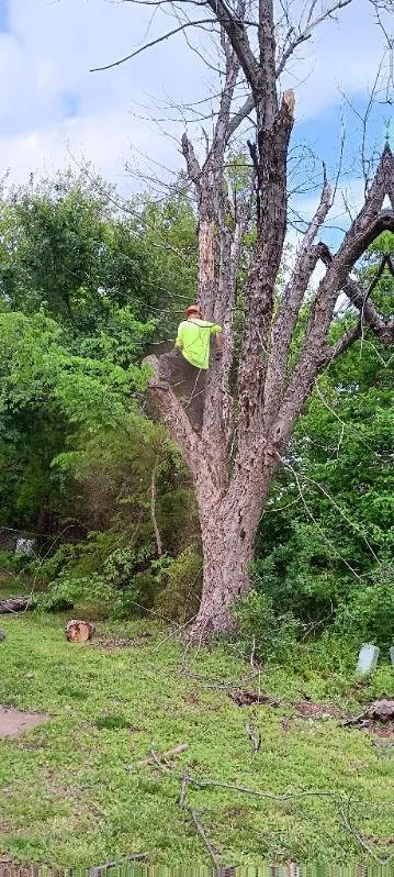 Affordable outdoor landscaping in Stillwater, OK by RGC Tree Lawn and Landscaping