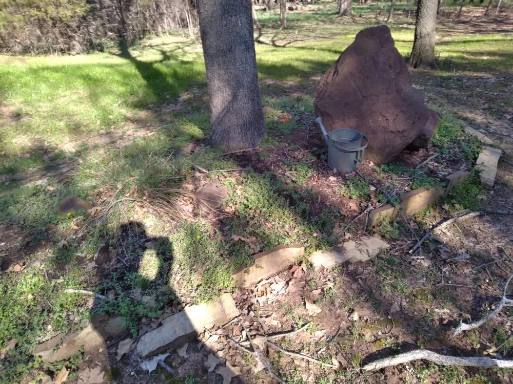 Top-rated yard cleanup service in Stillwater, OK - RGC Tree Lawn and Landscaping