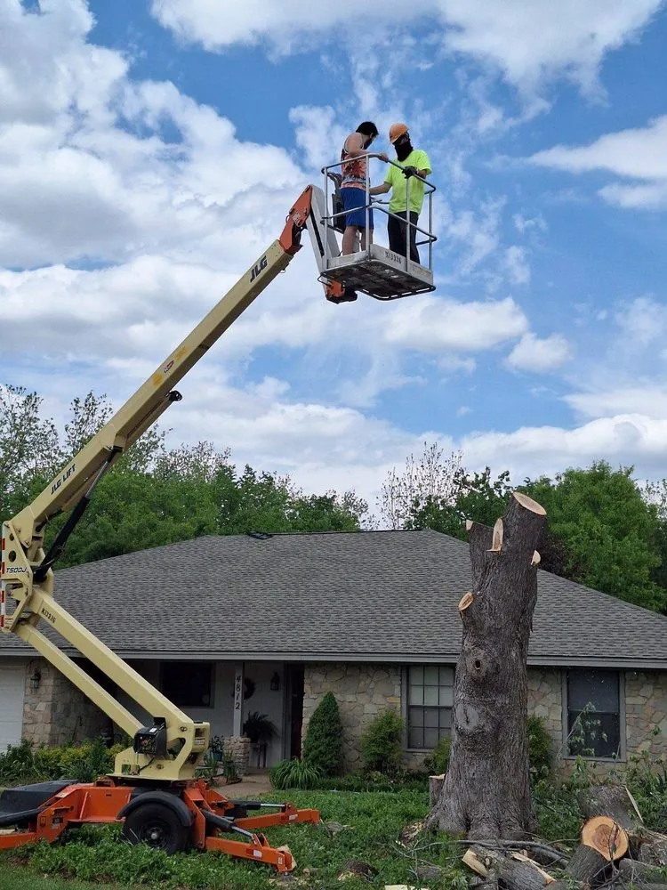 Professional landscaping services with custom design in Stillwater, OK by RGC Tree Lawn and Landscaping