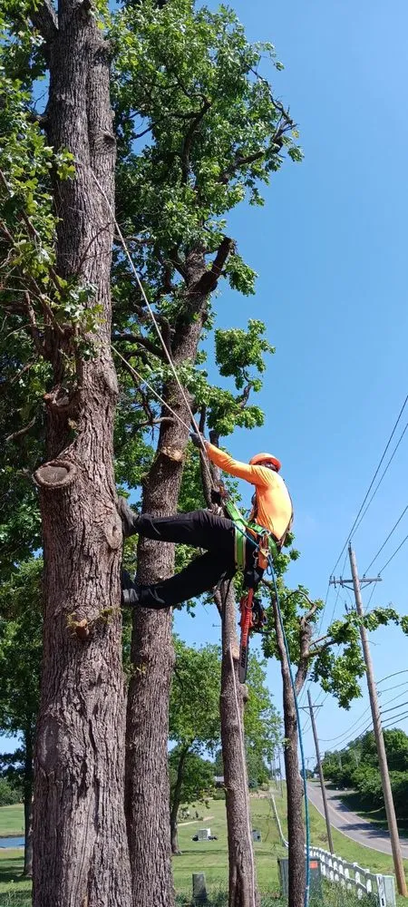 Reliable outdoor landscaping for year-round maintenance in Stillwater, OK by RGC Tree Lawn and Landscaping