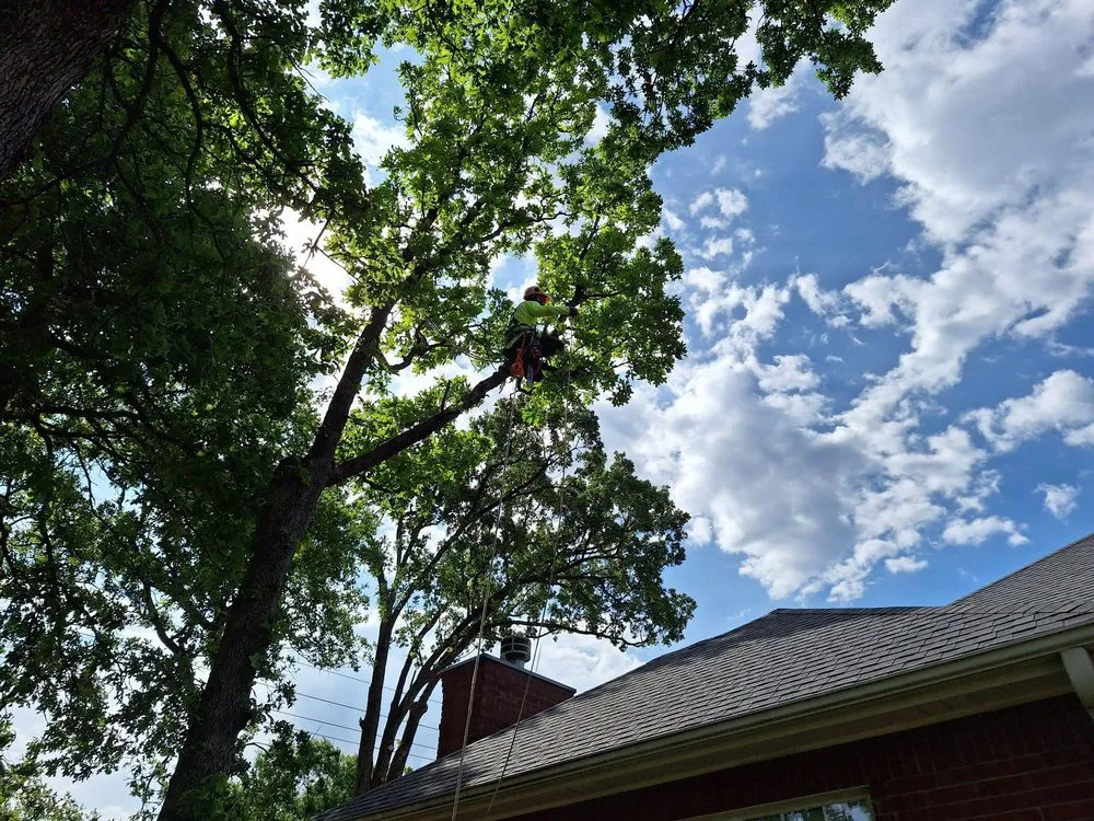 Custom yard cleanup service in Stillwater, OK by RGC Tree Lawn and Landscaping