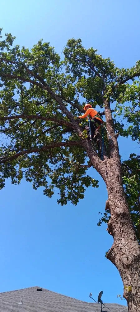 Professional landscape design experts serving Stillwater, OK - RGC Tree Lawn and Landscaping