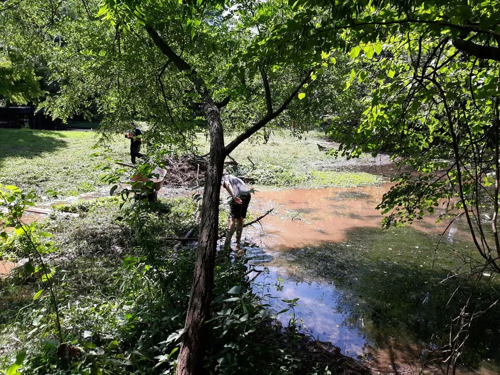 Expert lawn mowing service in Stillwater, OK by RGC Tree Lawn and Landscaping