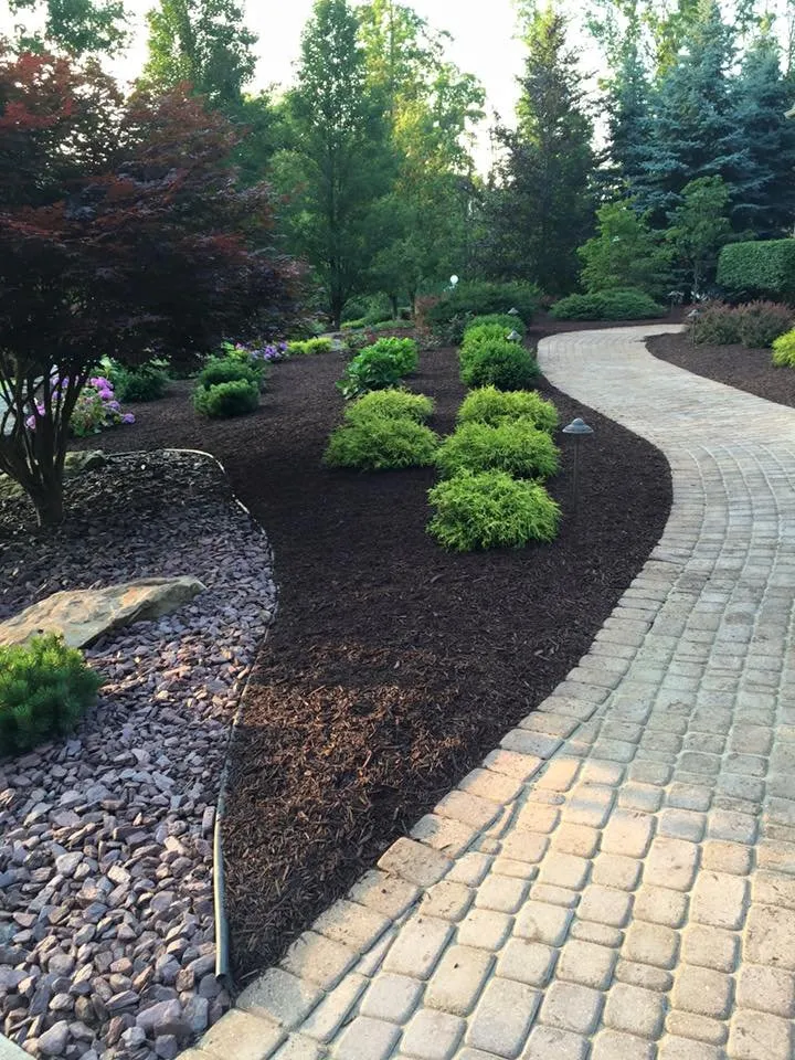 Expert yard cleanup service in Canfield, OH by RGG Lawn Care & Landscaping Services
